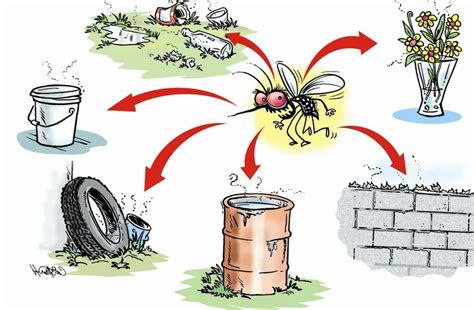 Tudo Sobre Dengue: Sintomas, o que é, Tratamento e Mais